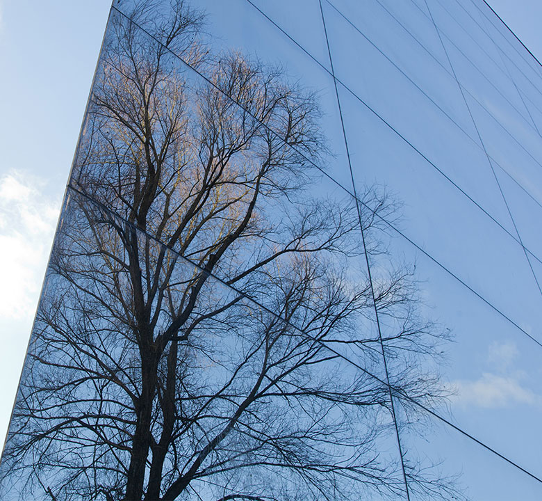 pequris-consulting-geldwaesche